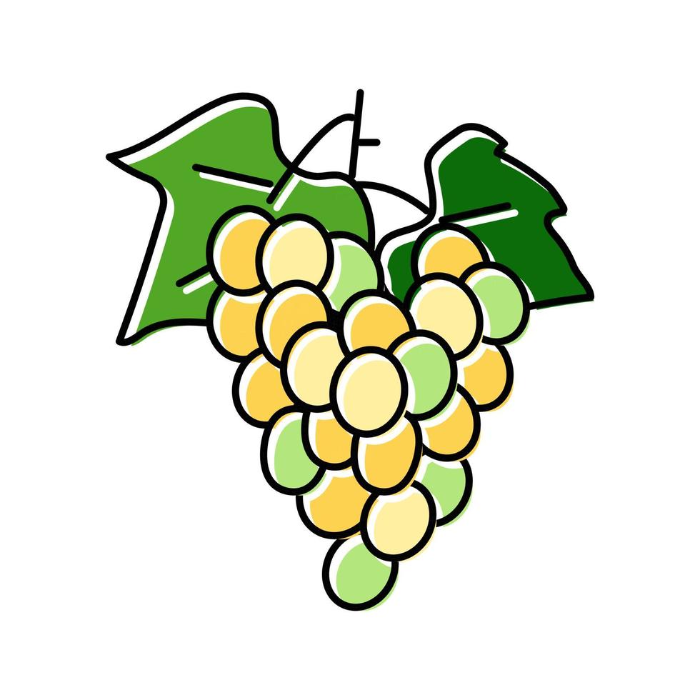 groen druiven bundel kleur icoon vector illustratie