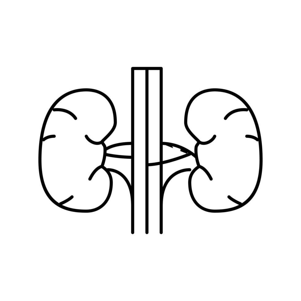 nier menselijk orgel lijn pictogram vectorillustratie vector