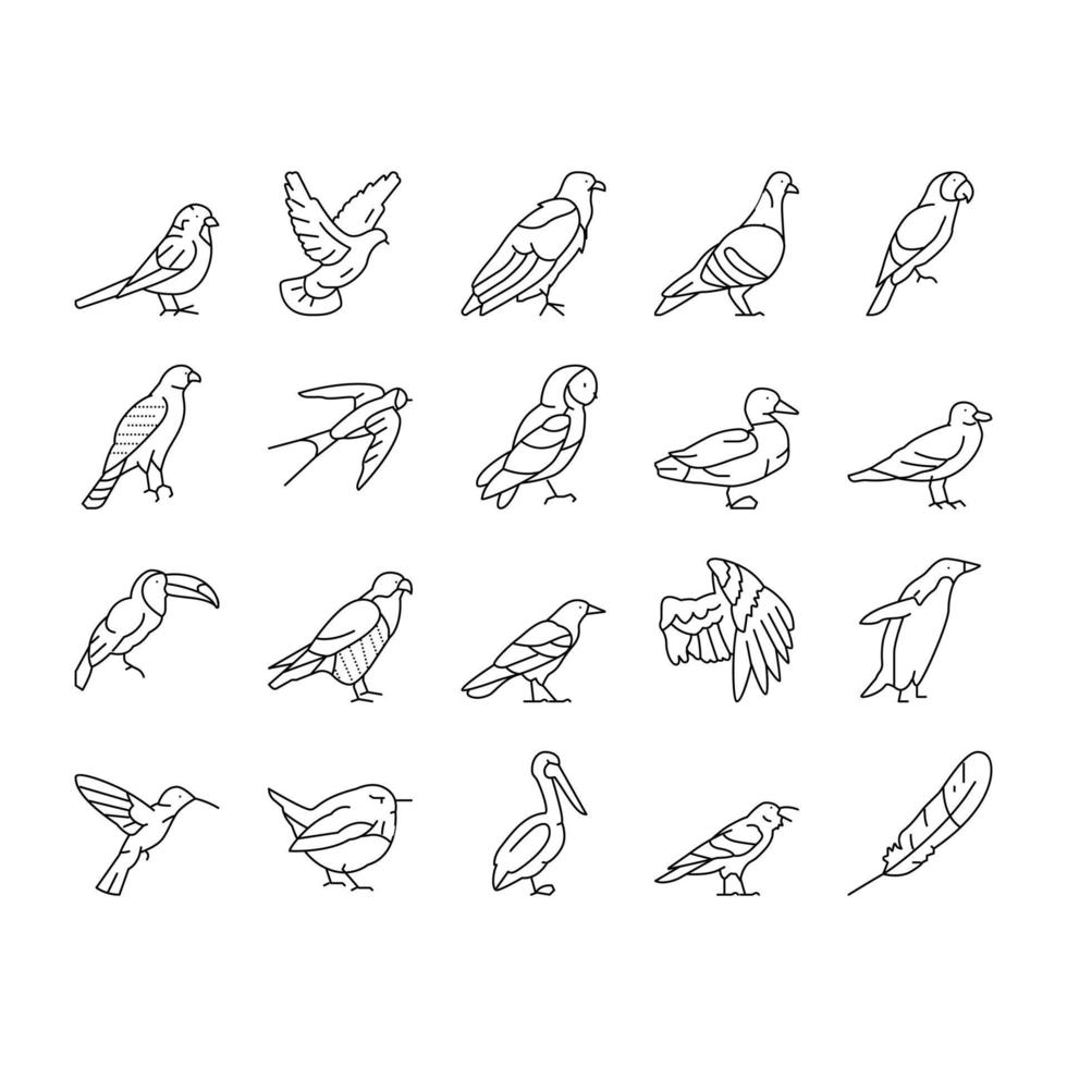 vogel vliegend dier met veer pictogrammen instellen vector