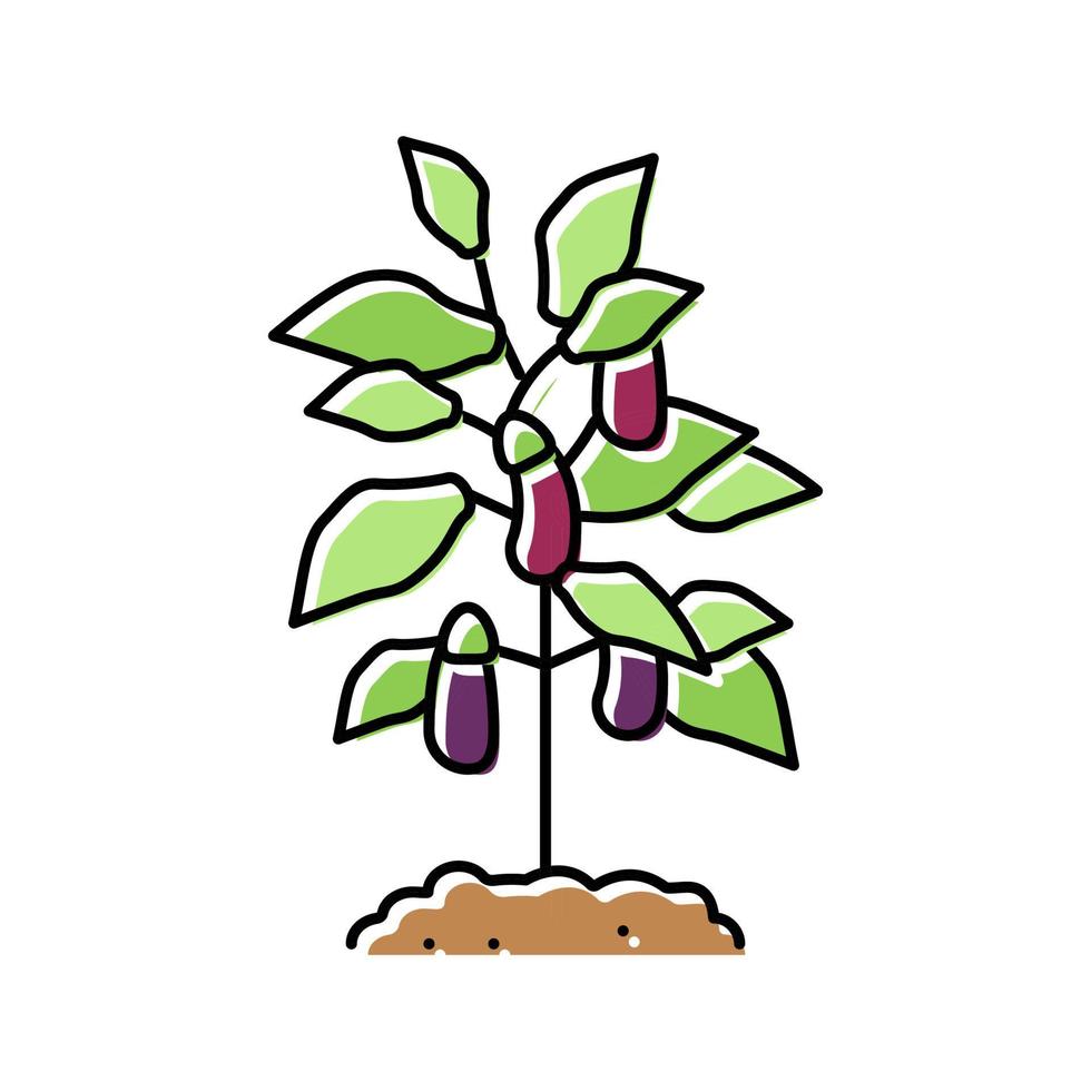 plant aubergine kleur pictogram vectorillustratie vector