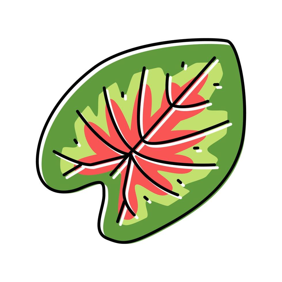 caladium tropisch blad kleur icoon vector illustratie