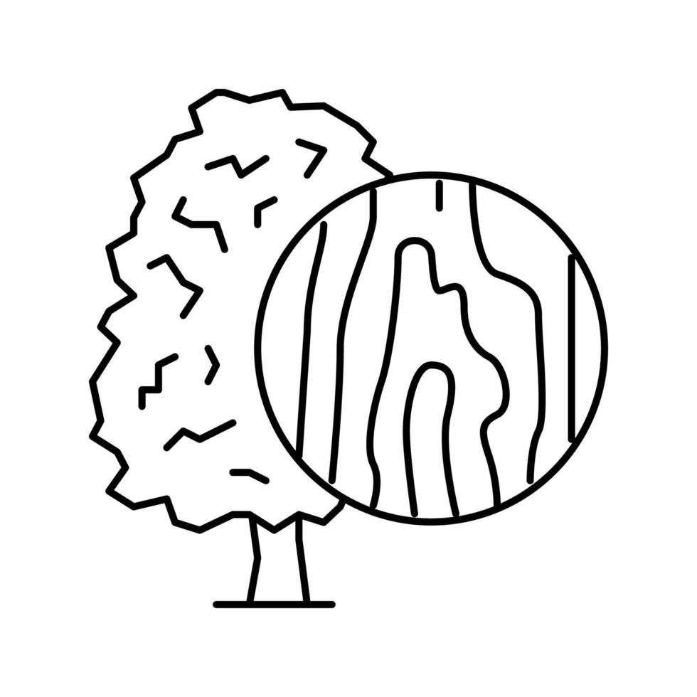 esdoorn hout lijn pictogram vectorillustratie vector