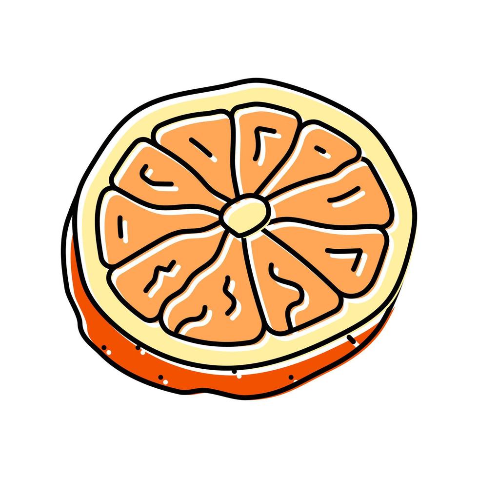 oranje droog fruit kleur icoon vector illustratie