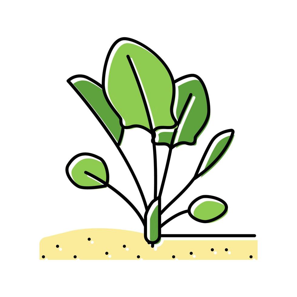 plant spinazie groeiende kleur pictogram vectorillustratie vector