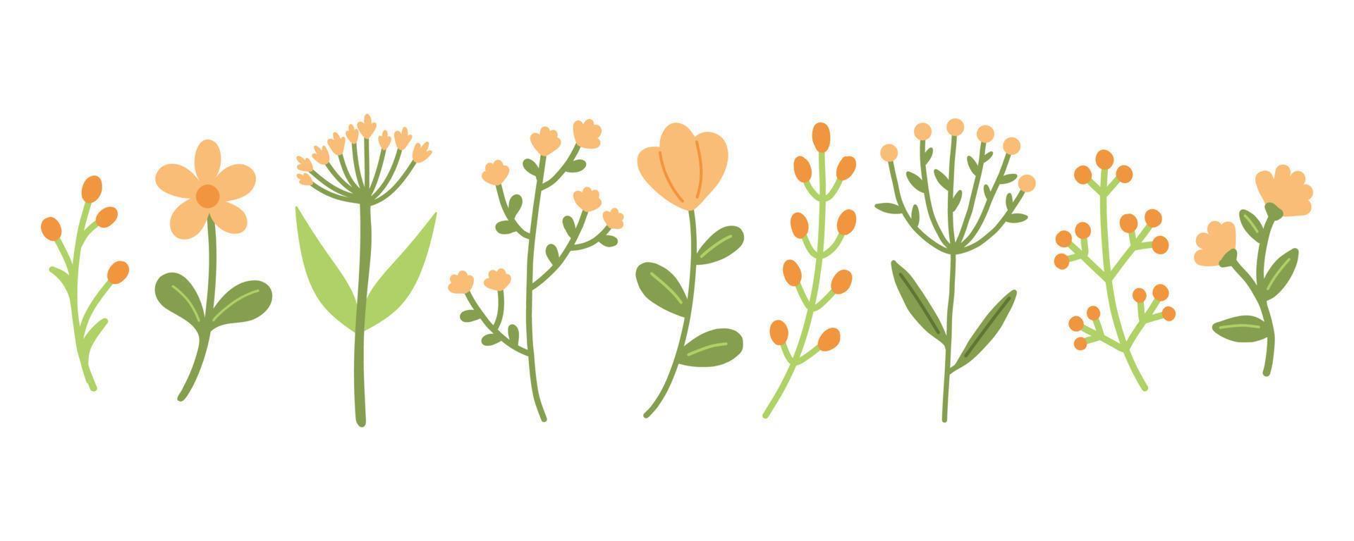 tuin bloemen planten set. gemakkelijk tekening bloem planten geïsoleerd Aan wit achtergrond. kleurrijk vlak vector illustratie