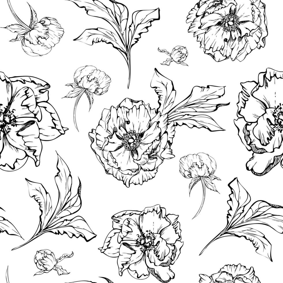 hand- getrokken vector naadloos patroon met pioen bloemen, bloemknoppen en bladeren. geïsoleerd Aan wit achtergrond. ontwerp voor uitnodigingen, bruiloft of groet kaarten, behang, afdrukken, textiel, omhulsel papier