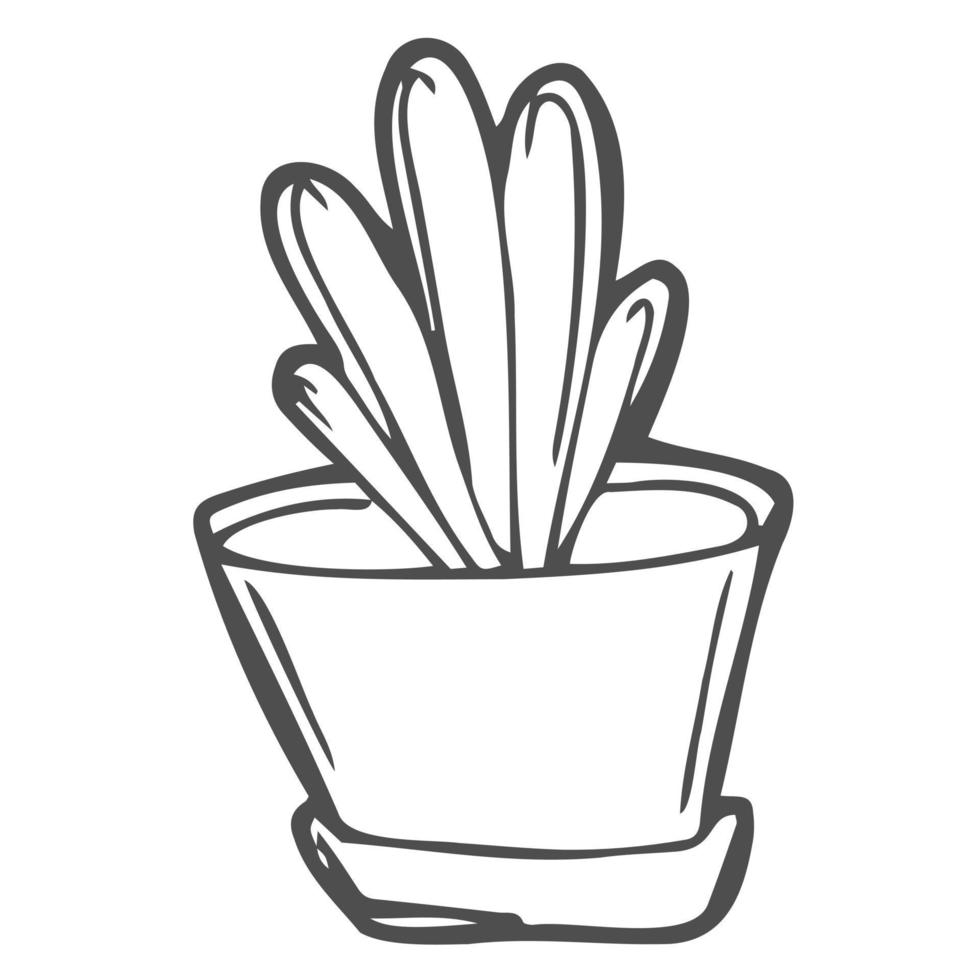 bloem in een pot. jonge boompjes. huis serre. bio planten. plantkunde. kleur boek voor kinderen en volwassenen. voor ontwerp, textiel, sweatshirts. voorraad hand- grafiek. vector