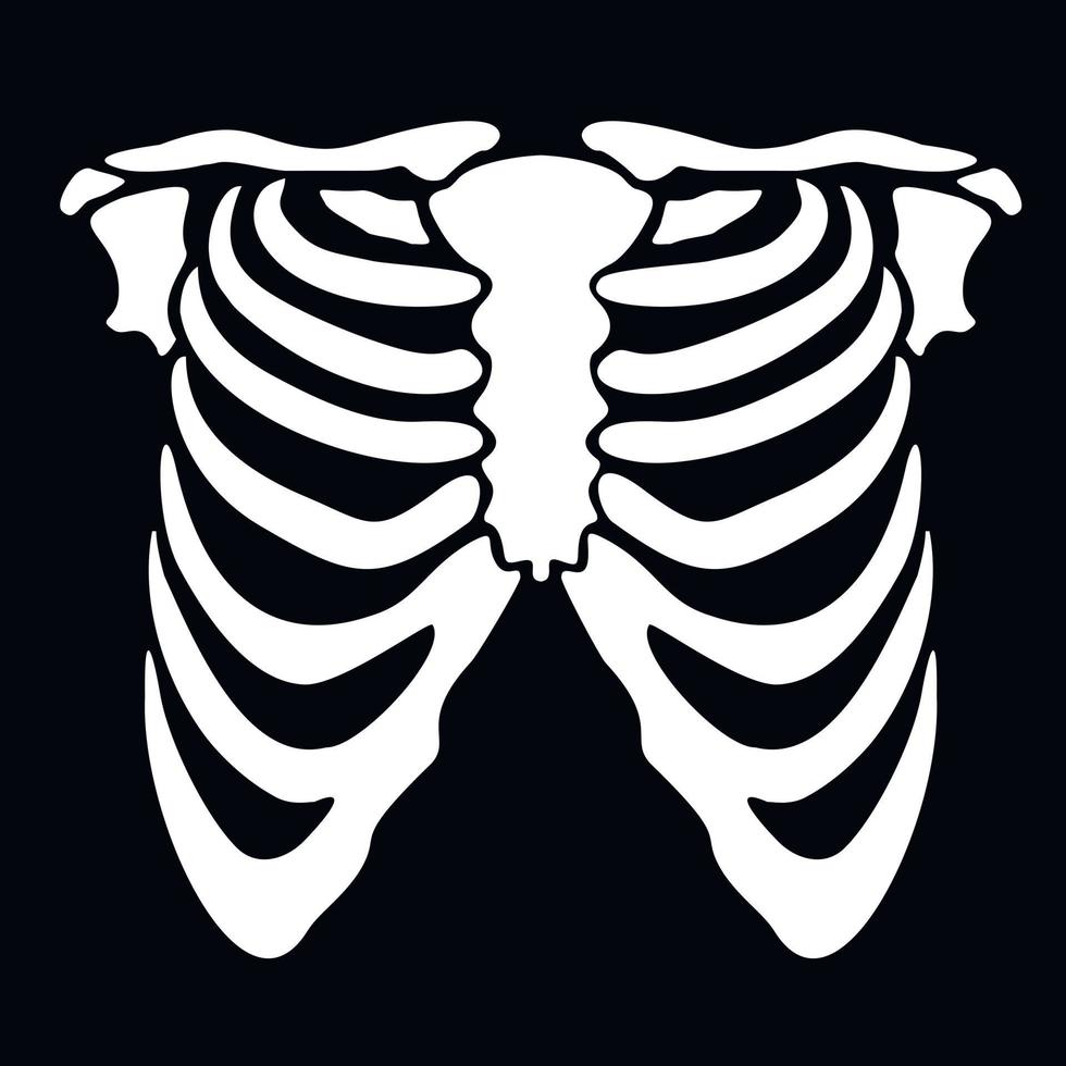 witte thorax stencil vector