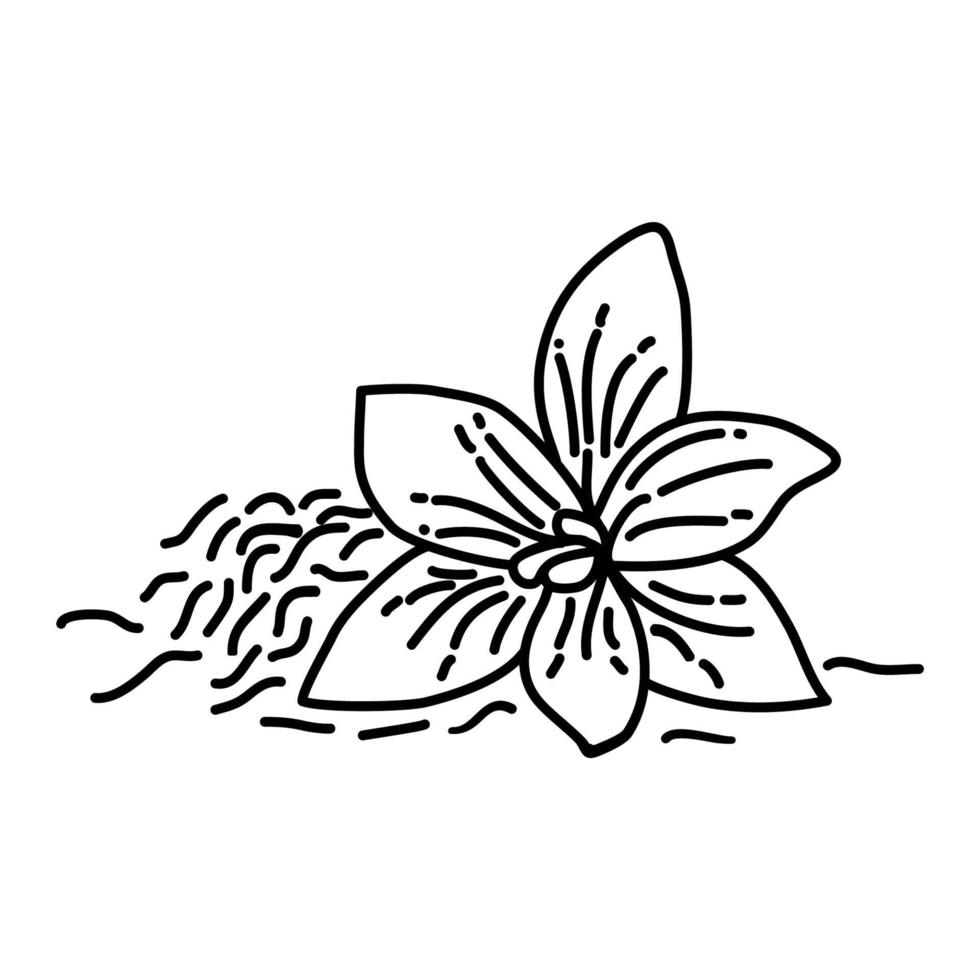 saffraan pictogram. doodle hand getrokken of overzicht pictogramstijl vector