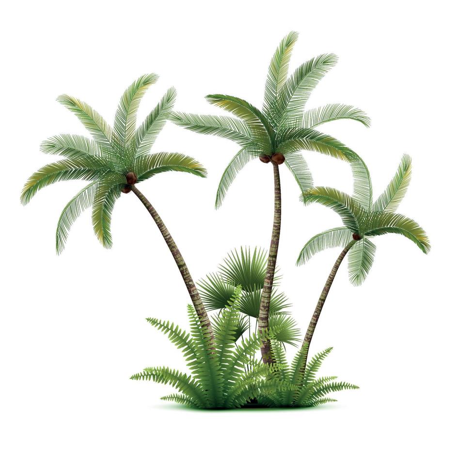 kokosnoot palm bomen samenstelling vector