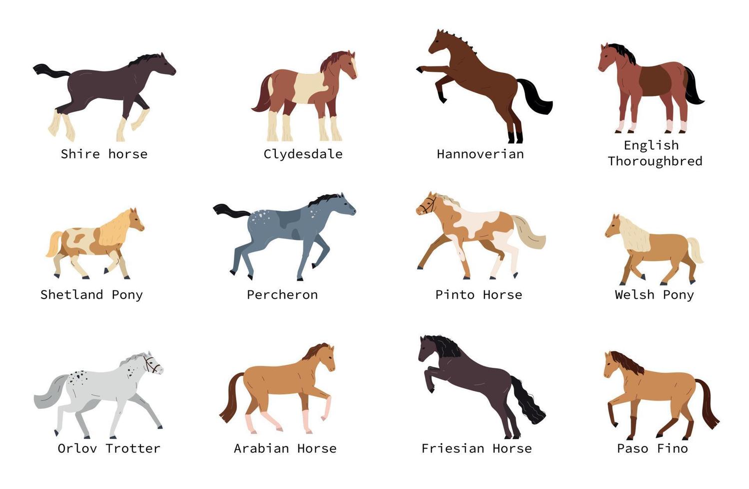 paard rassen reeks vector