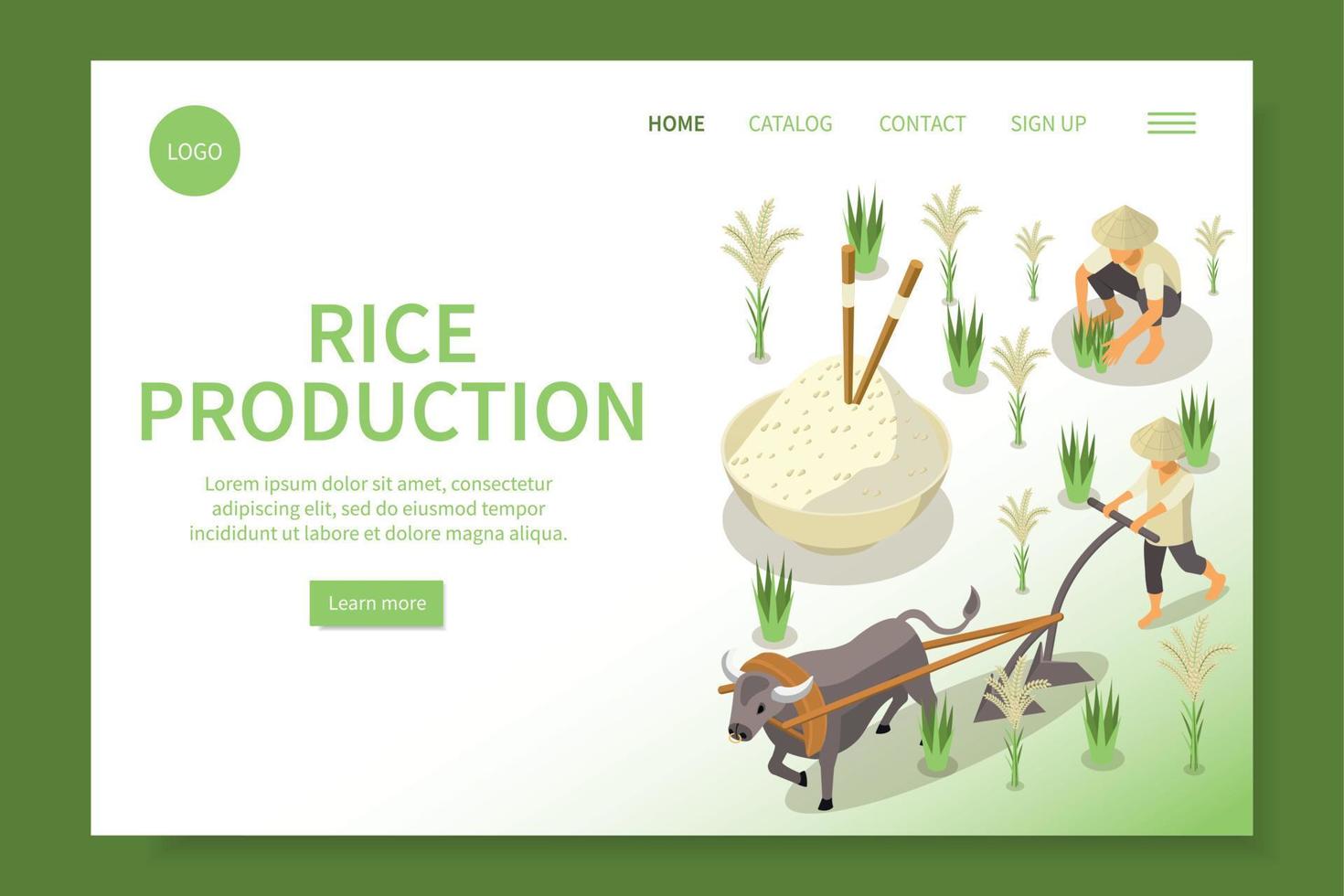 rijst- productie isometrische website vector