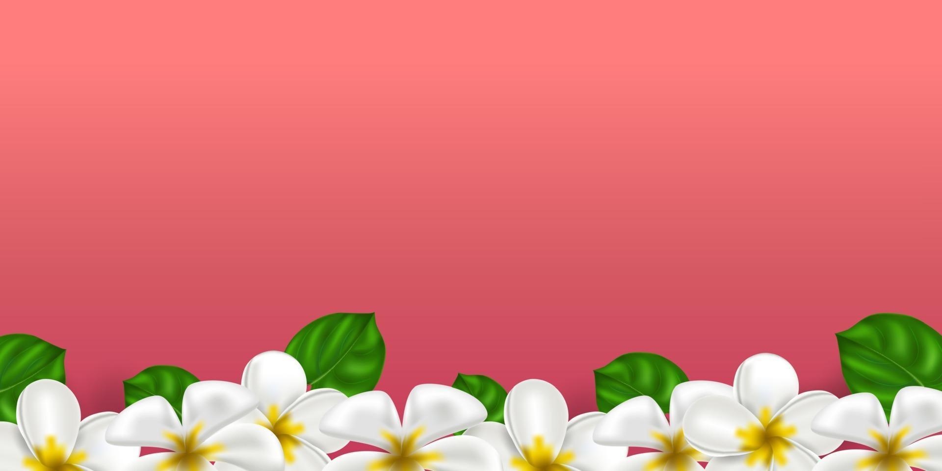 vector realistische tropische Hawaiiaanse bloemplumeria. wit-gele kleur frangipani op een koraalkleurige achtergrond. zomerparadijs. botanische aardillustratie voor banner en kaarten. bloemen frame