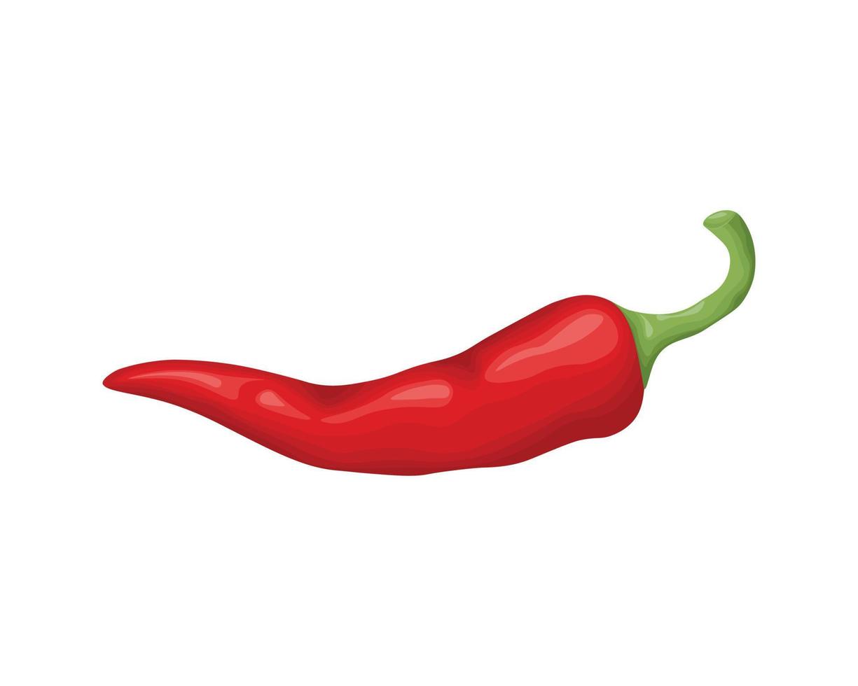 Chili peper. rood heet peper. groente tuin. brand peper. vector illustratie geïsoleerd Aan een wit achtergrond