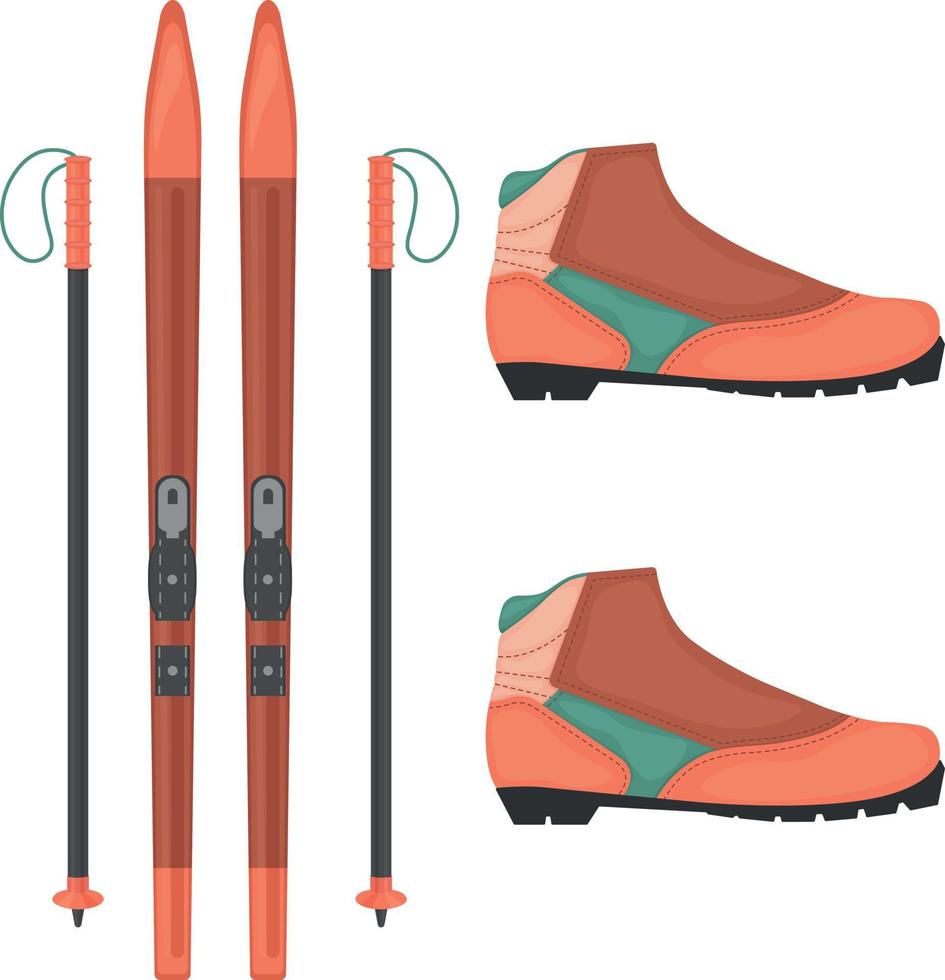 sport- winter reeks met de beeld van cross-country ski's, ski laarzen. sport- uitrusting voor wedstrijden en buitenshuis activiteiten. vector illustratie geïsoleerd Aan een wit achtergrond