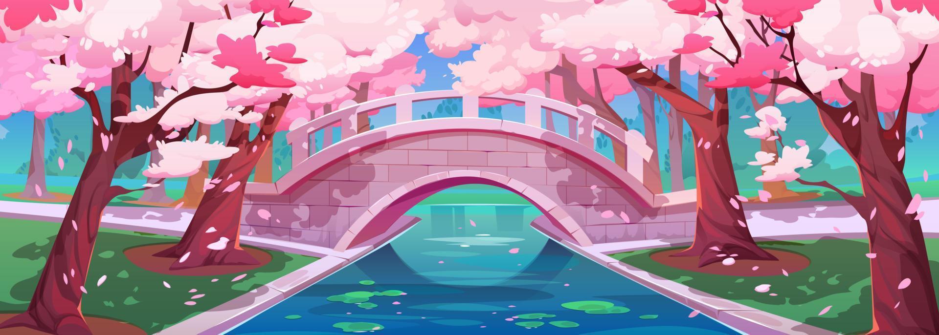 Japans kers tuin, brug en sakura bloesem vector