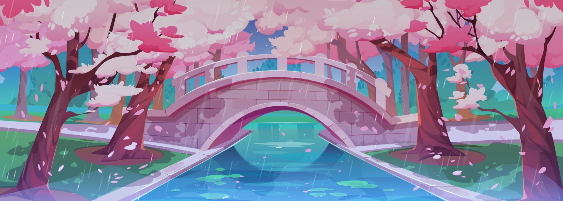 regenachtig Japans kers tuin, brug, sakura vector