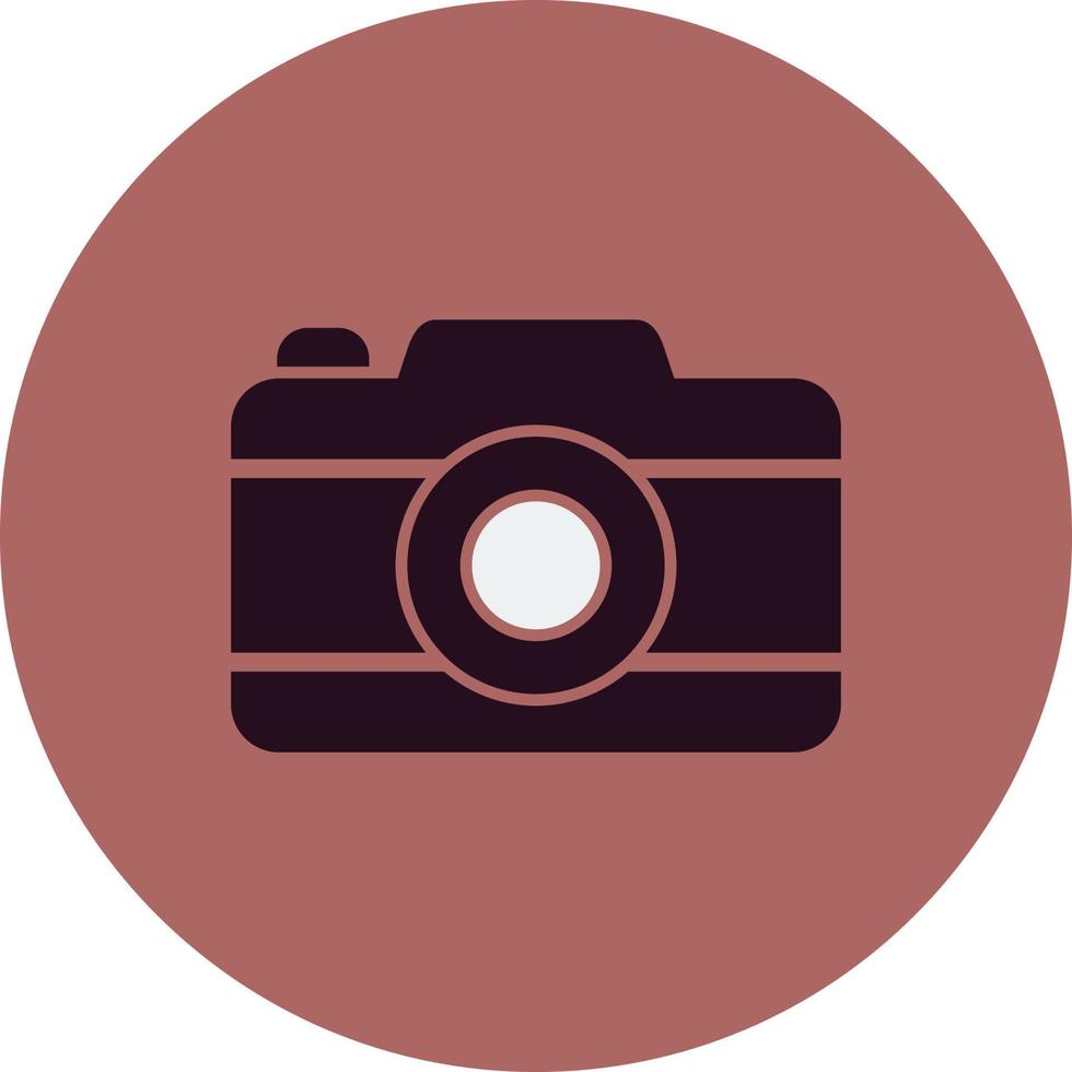 foto camera vector pictogram