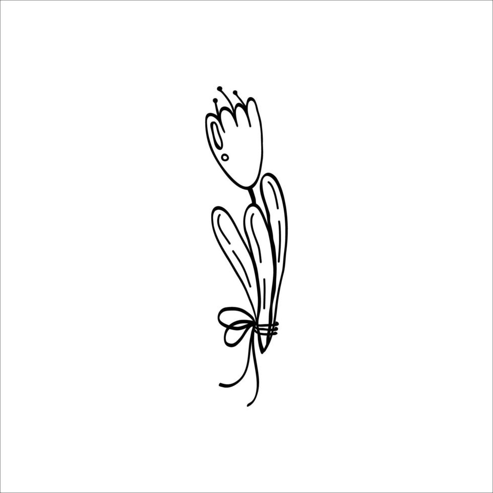 vector clip art tulp in tekening stijl. Aan een wit achtergrond.