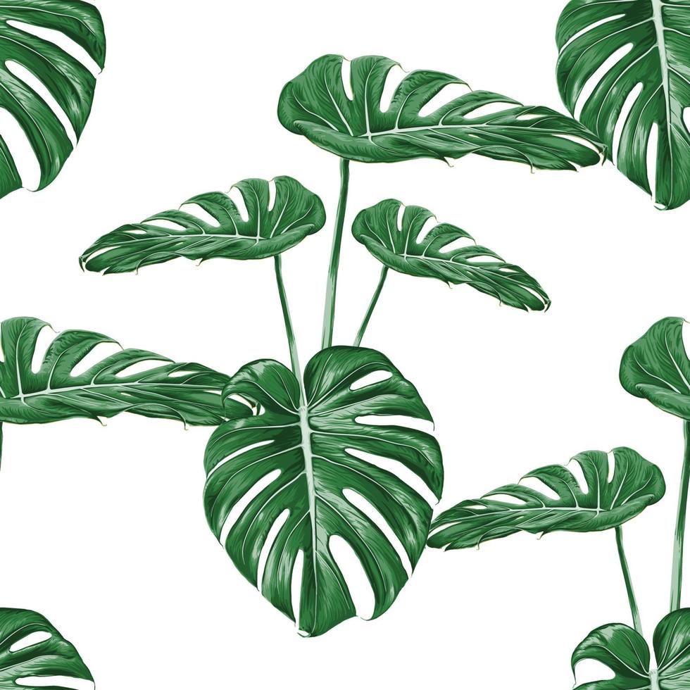 naadloze patroon monstera groen blad op geïsoleerde witte achtergrond. vector illustratie droge aquarel hand tekenen stijl. stof ontwerp texitle