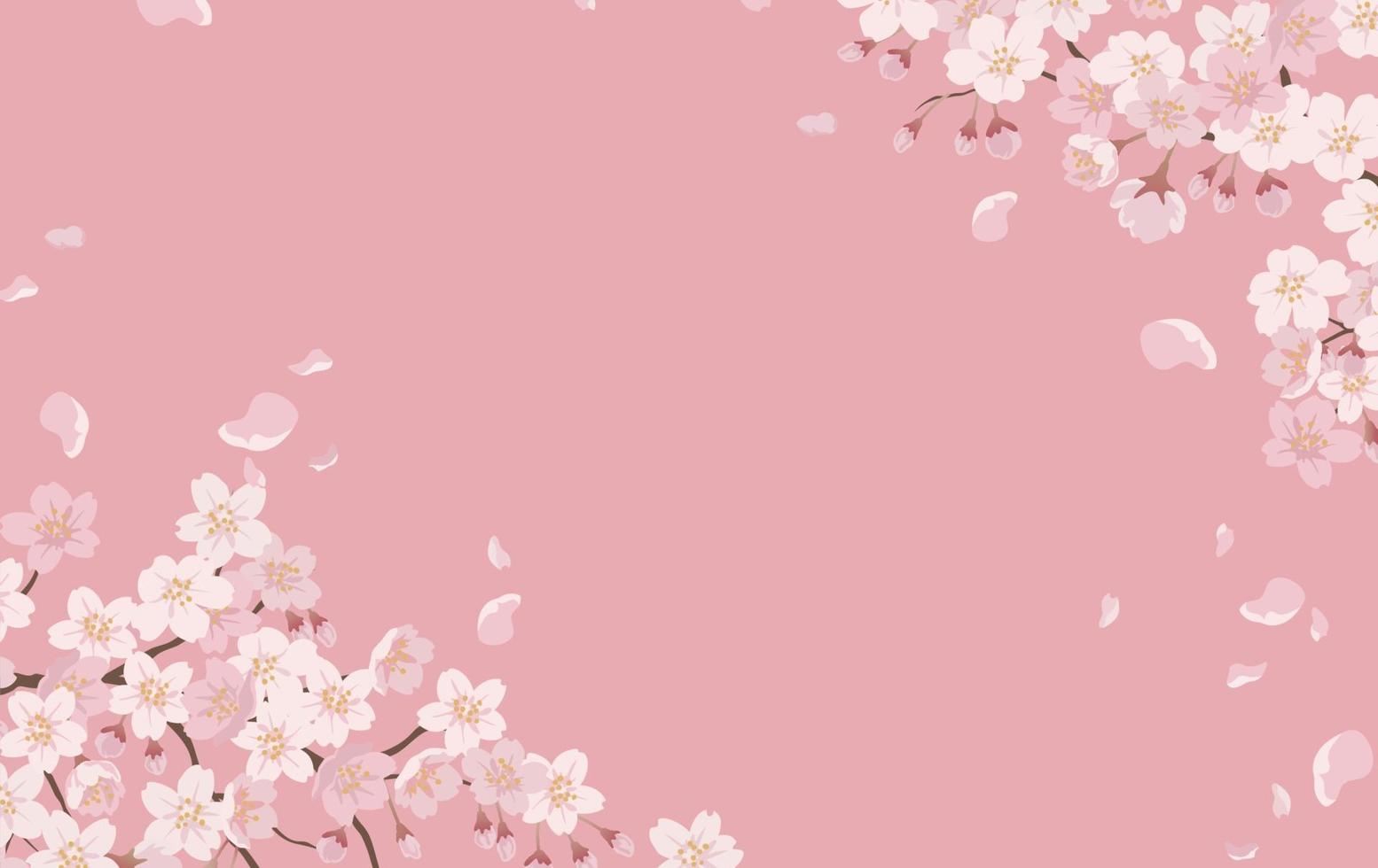 florale achtergrond met kersenbloesems in volle bloei op een roze achtergrond. vector
