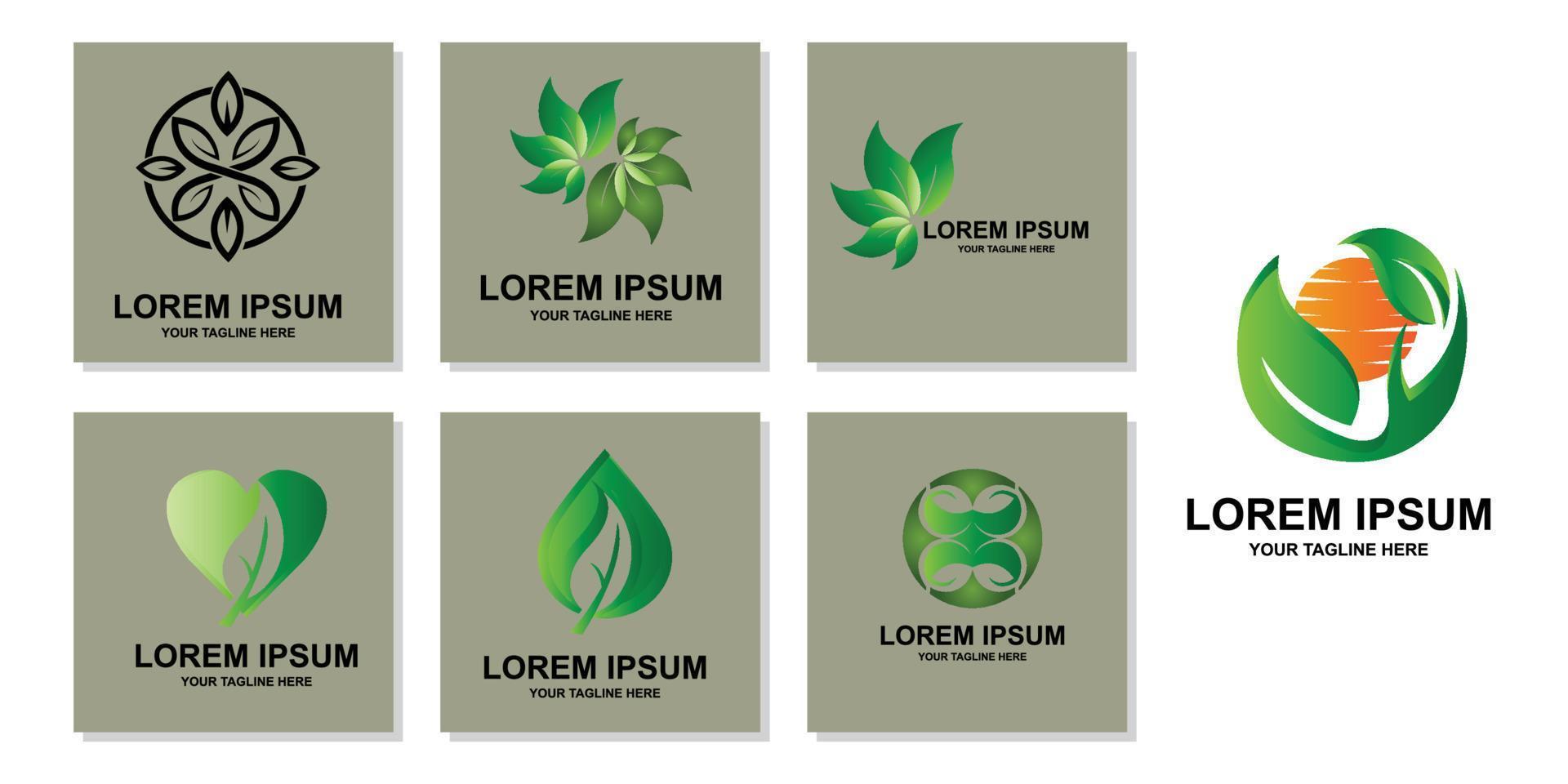 premium kwaliteit groen blad plant logo vector symbool