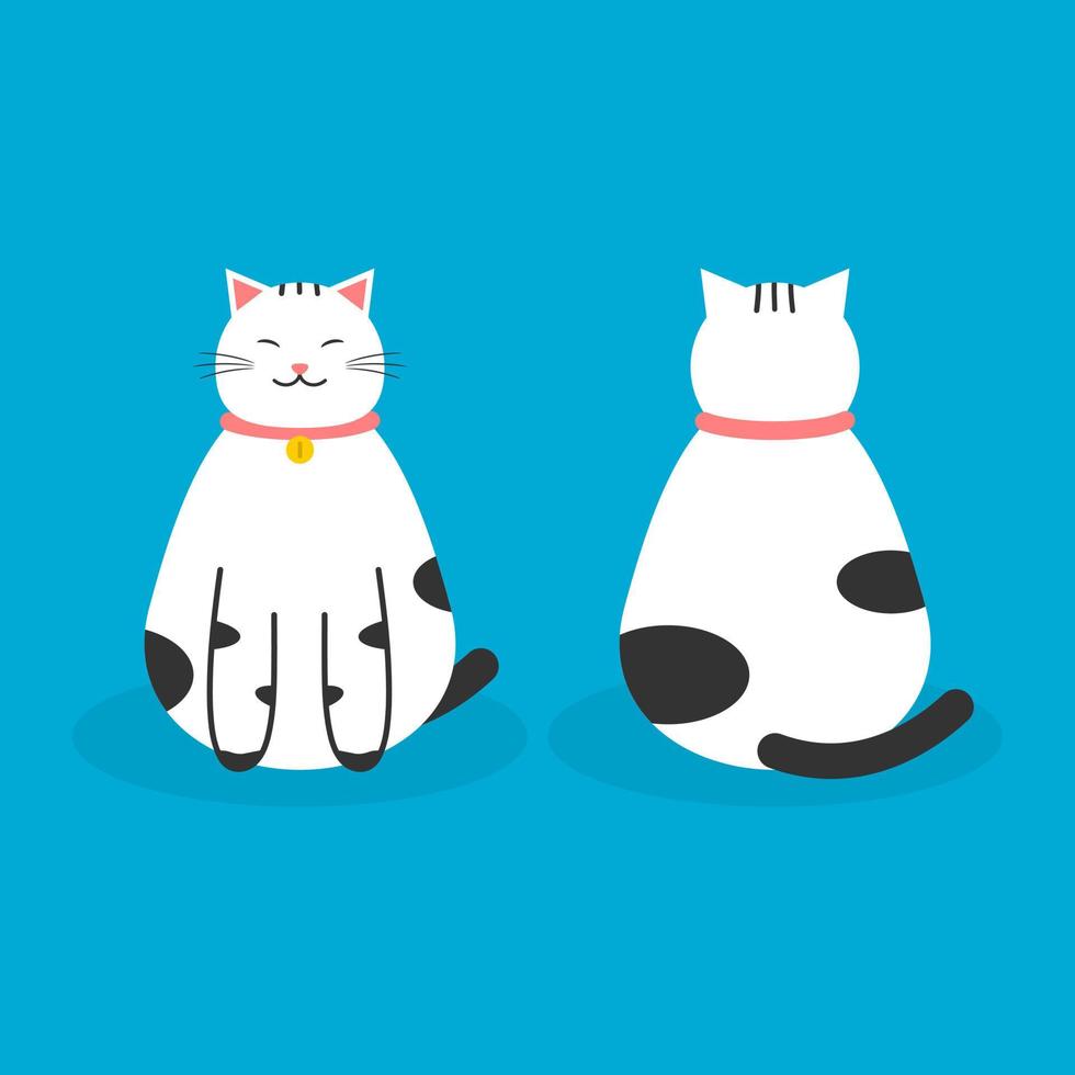 schattig dik wit kat zittend voorkant en terug Aan blauw achtergrond tekenfilm karakter vlak vector ontwerp.