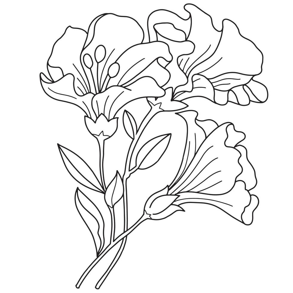 lijn detail bloemen vector