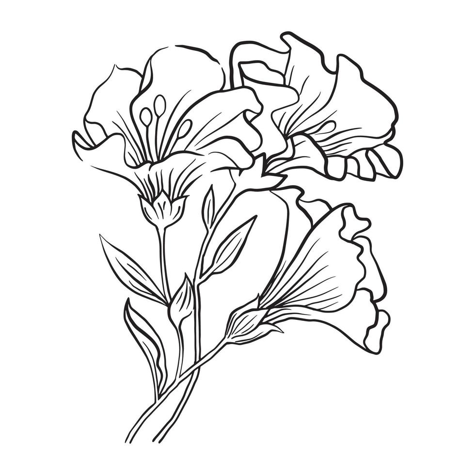 lijn detail bloemen vector