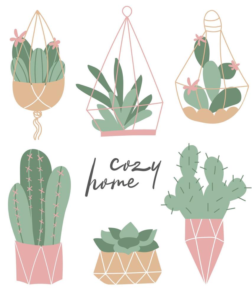 vector reeks van knus schattig cactus en sappig geïsoleerd Aan een wit achtergrond. huis tuinieren. huis planten. plantkunde decoratie.