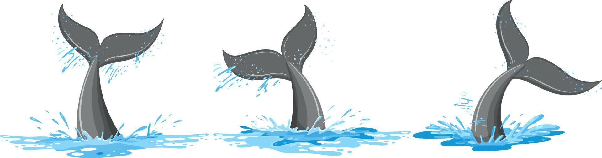 staarten van een walvis in de water reeks vector