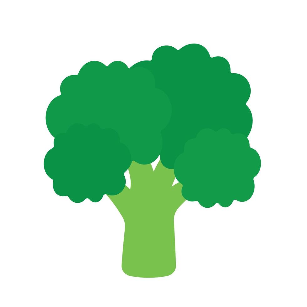 vlak broccoli icoon clip art groenten tekenfilm geanimeerd vector grafisch illustratie