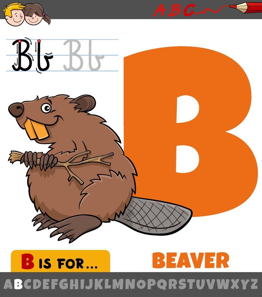 letter b uit alfabet met cartoon bever vector