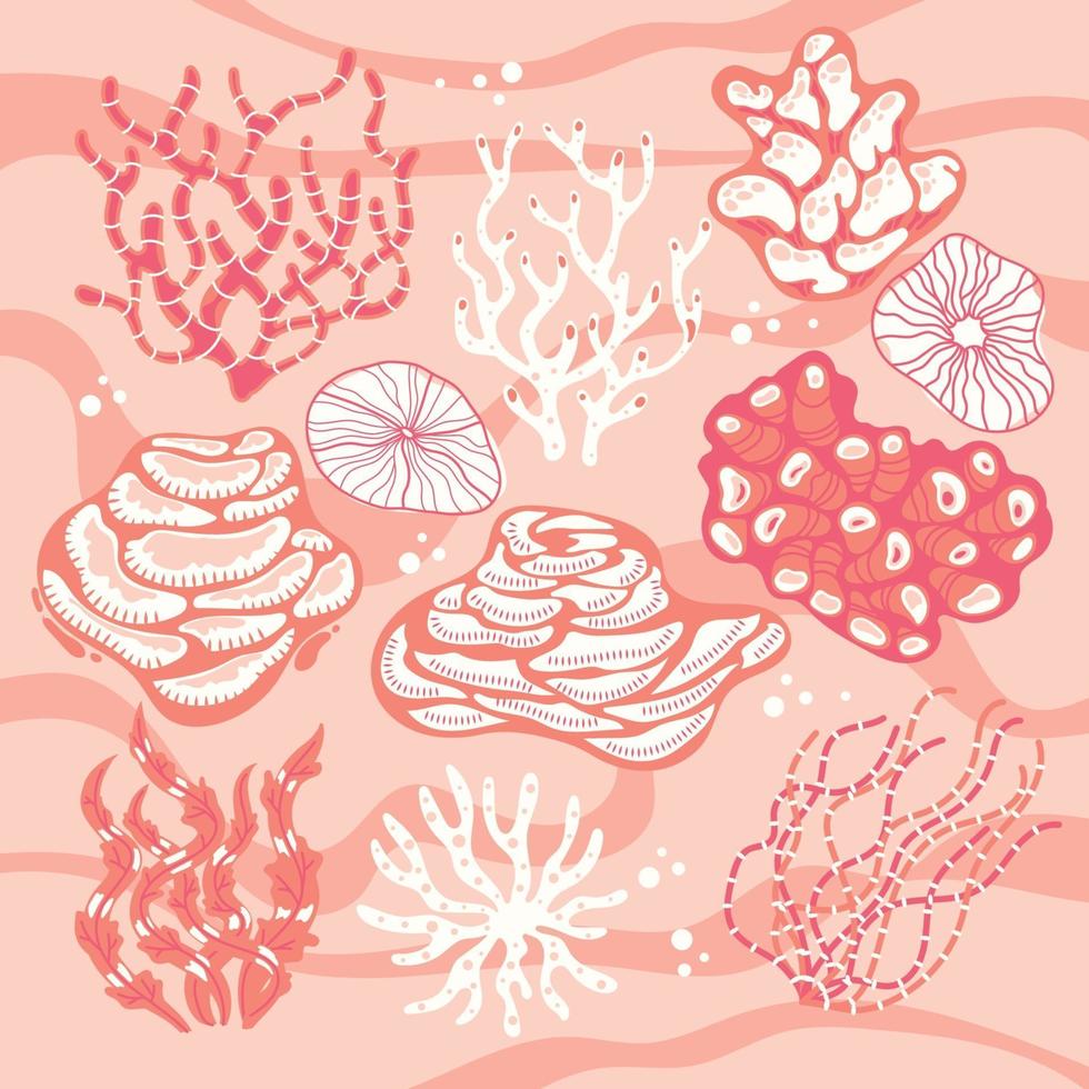 set van koralen en zeesponzen vector