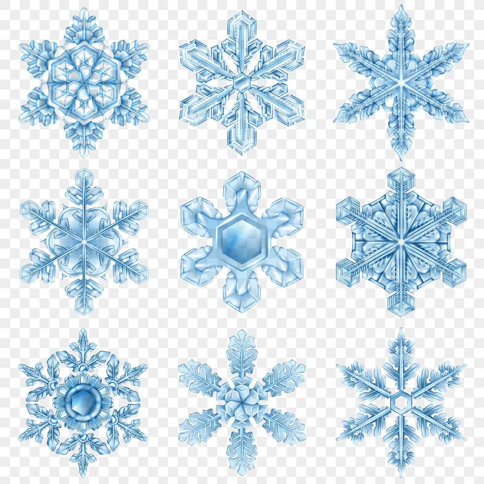 realistische sneeuwvlok set vector