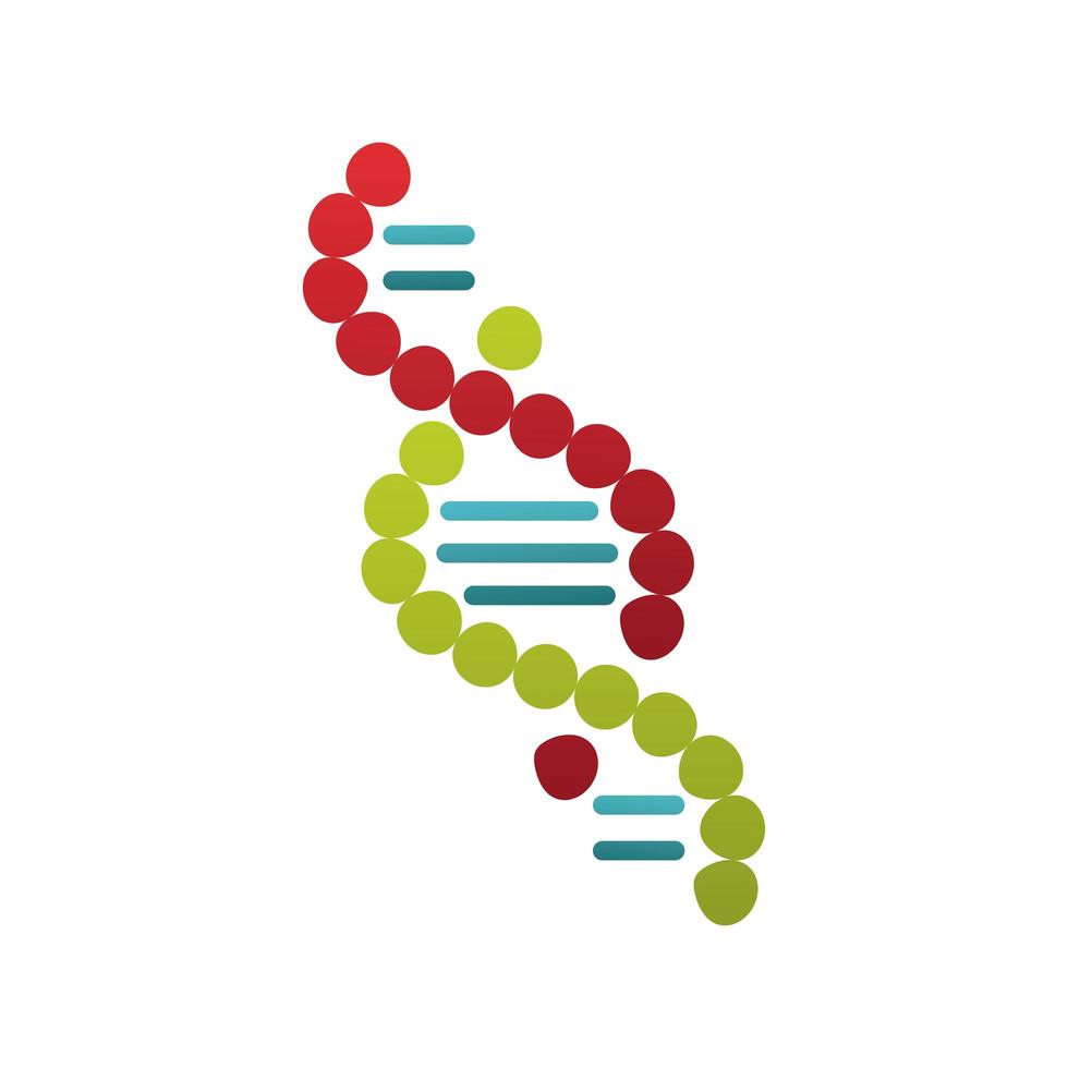 DNA-molecuul structuur geïsoleerde pictogram vector