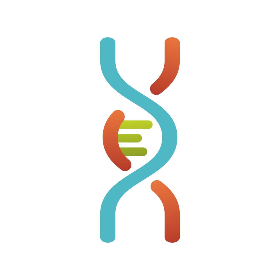 DNA-molecuul structuur geïsoleerde pictogram vector