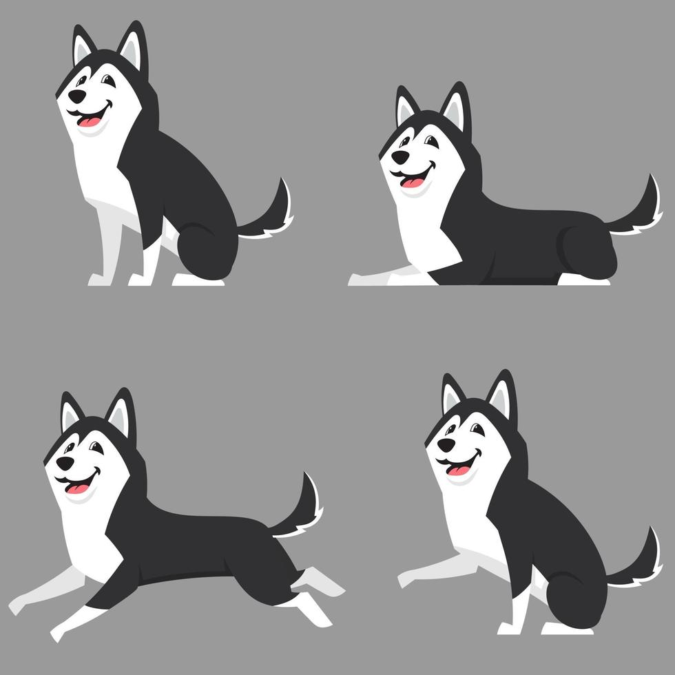 Siberische husky in verschillende poses. vector