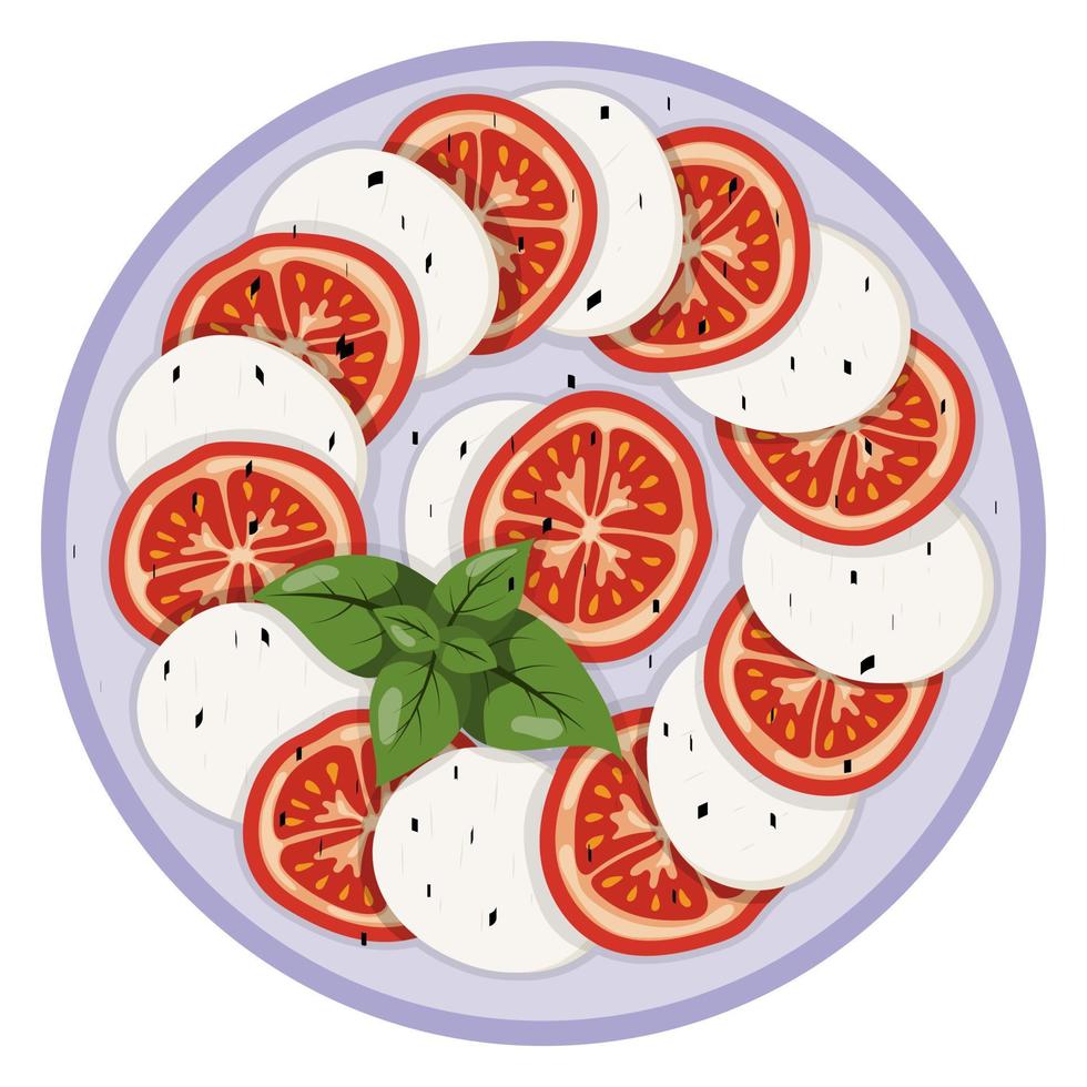 caprese salade. vector illustratie Aan een wit achtergrond.