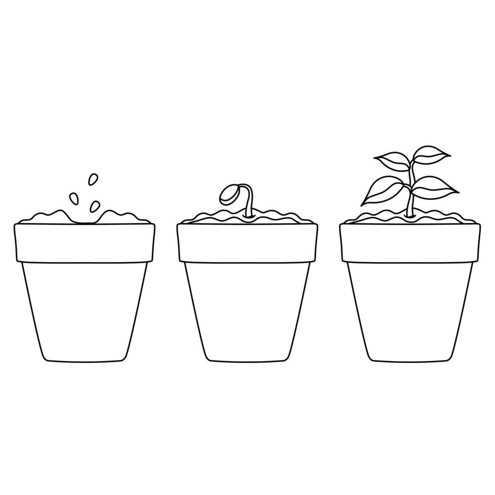 een reeks van helder vector illustraties van een pot met zaailingen, aanplant planten, binnen- planten en een groente tuin, tekening en schetsen