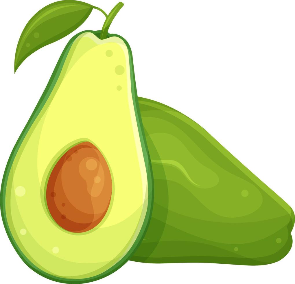 vector illustratie van avocado en avocado helften, gezond voedsel, gezond ontbijt, illustratie voor een culinaire blog