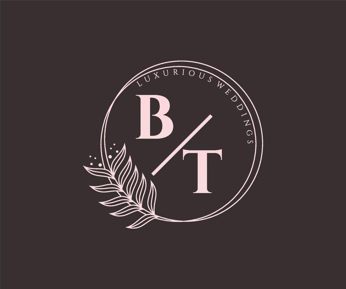 bt initialen brief bruiloft monogram logos sjabloon, hand- getrokken modern minimalistisch en bloemen Sjablonen voor uitnodiging kaarten, opslaan de datum, elegant identiteit. vector