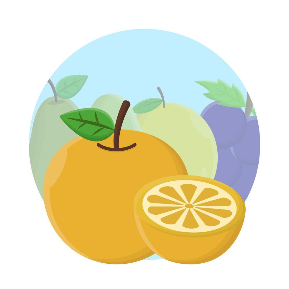 oranje fruit vlak icoon vector