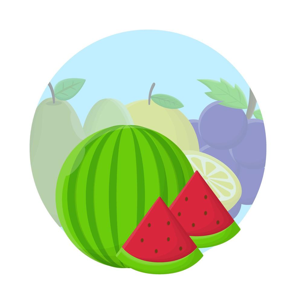 watermeloen vers vlak icoon ontwerp vector