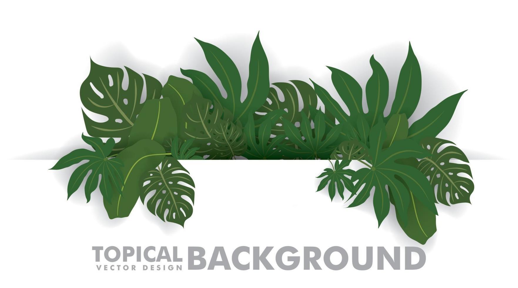 verse groene tropische bladeren op witte achtergrond. ruimte voor ontwerp of tekst. vector
