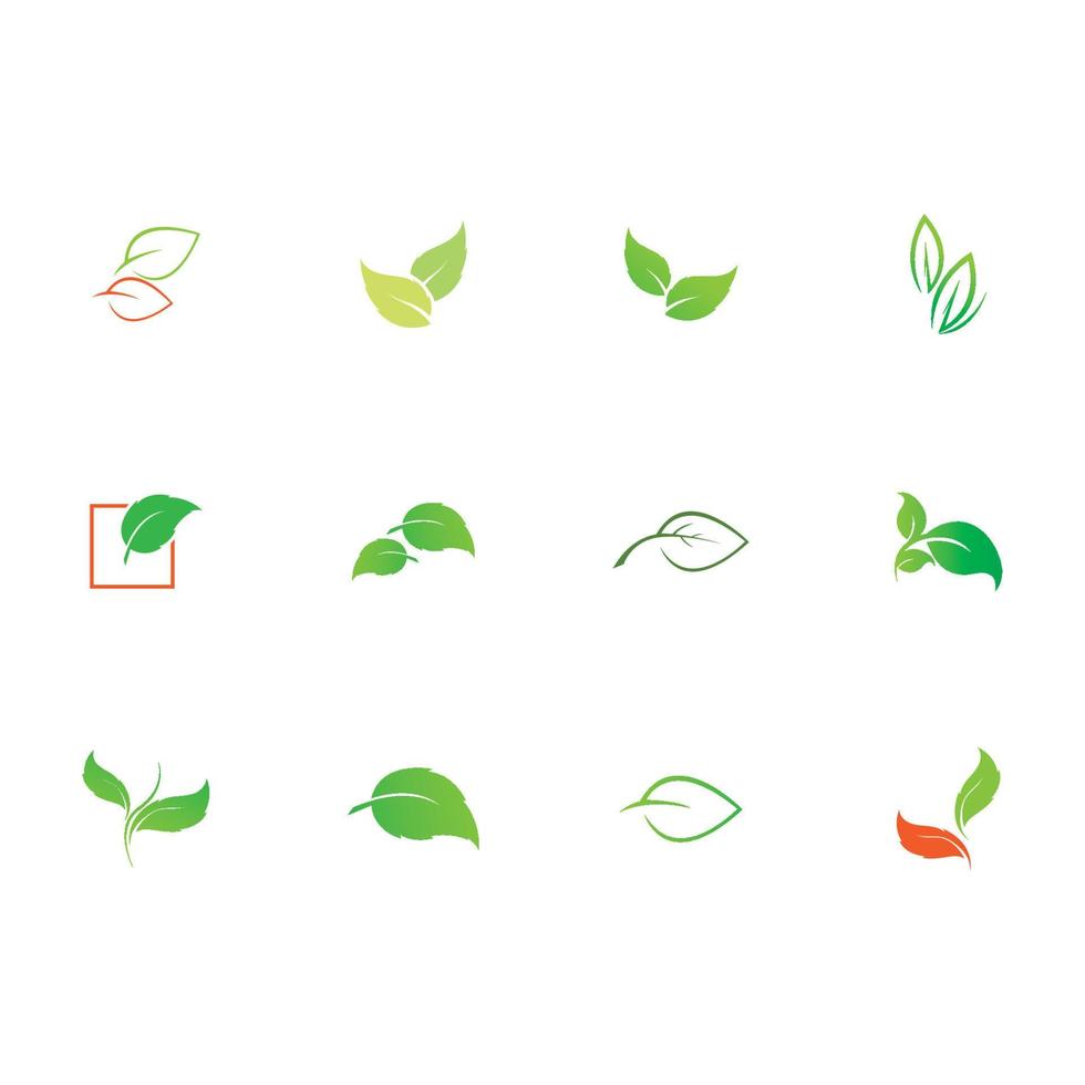 natuur van bladeren logo vector
