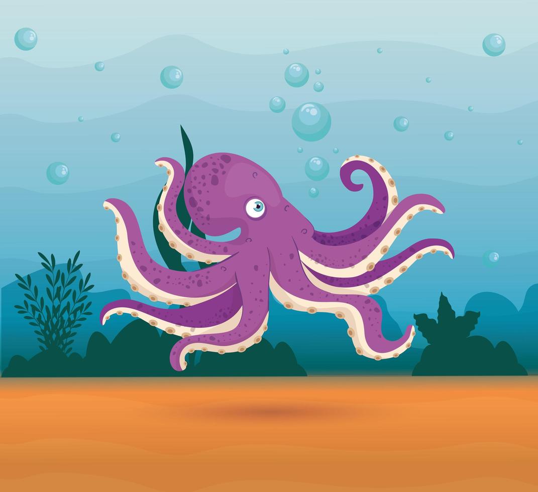 octopus in de oceaan, zeewereldbewoner, schattig onderwaterwezen vector