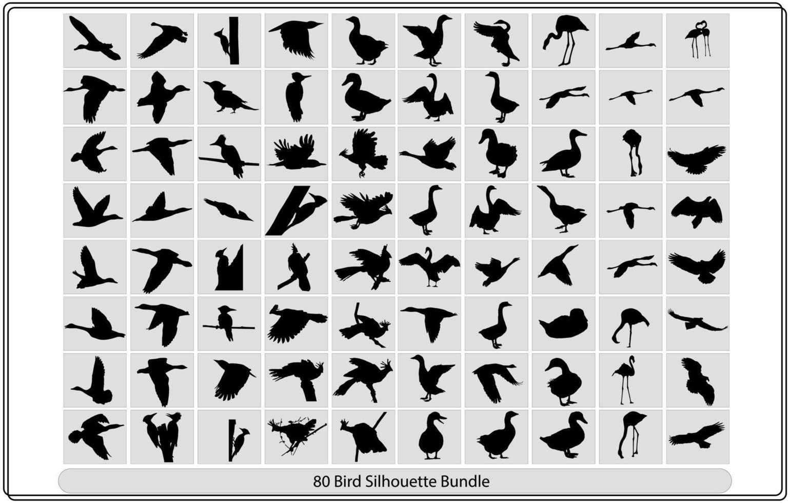 verzameling van verschillend vogelstand silhouetten positie. vector