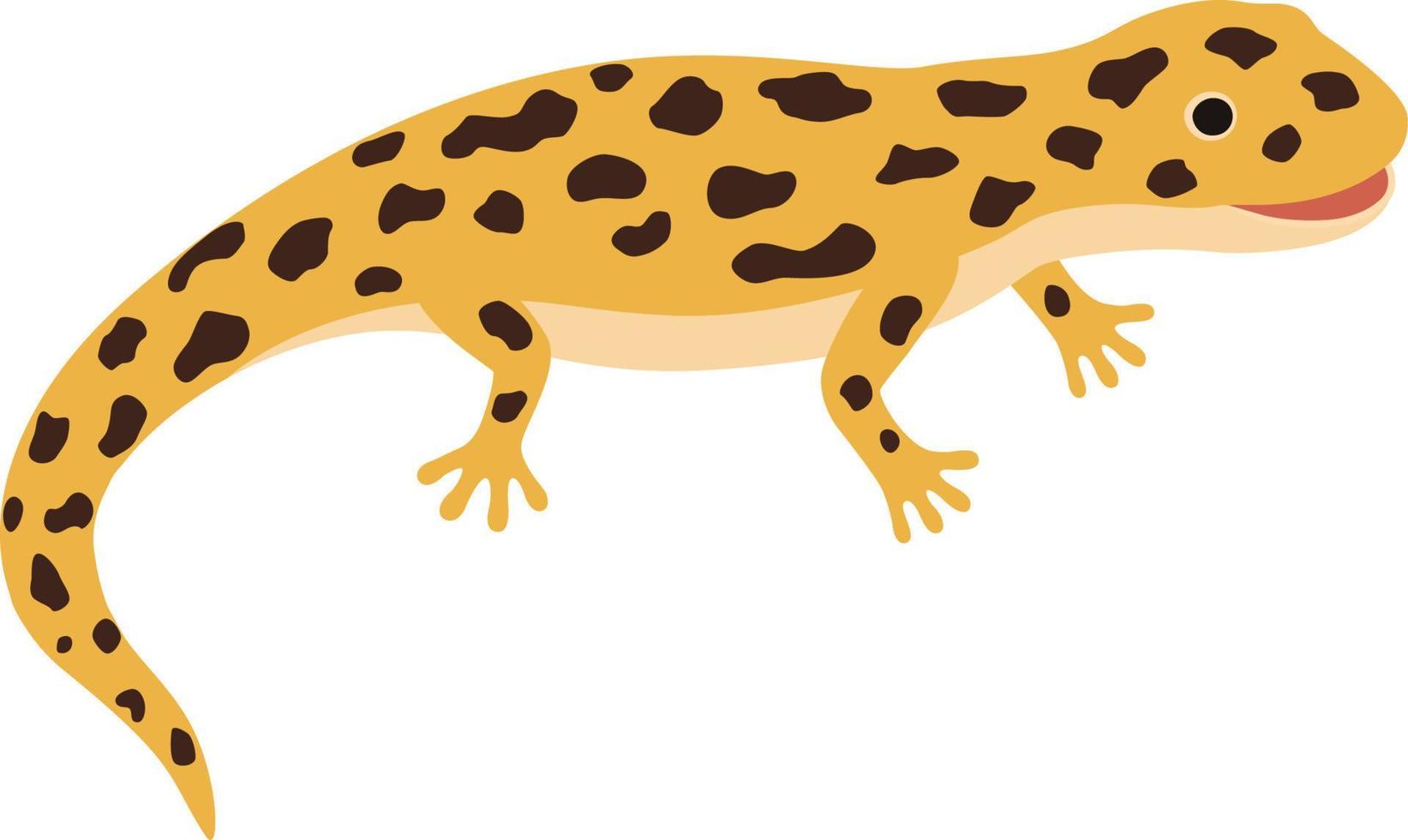 geel hagedis, gevlekte salamander. vector