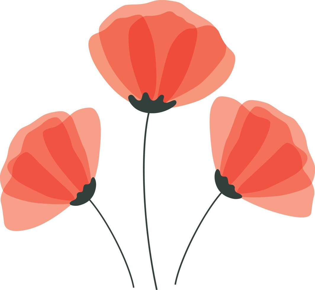 papaver bloemen illustratie vector